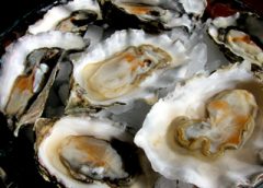 Sesame Oysters on a Half Shell